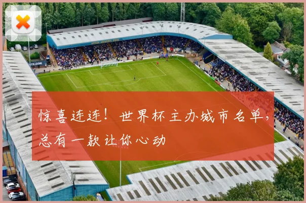 惊喜连连！世界杯主办城市名单，总有一款让你心动