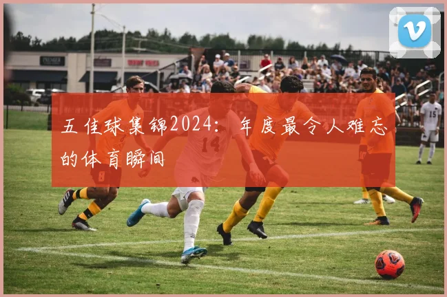 五佳球集锦2024:年度最令人难忘的体育瞬间